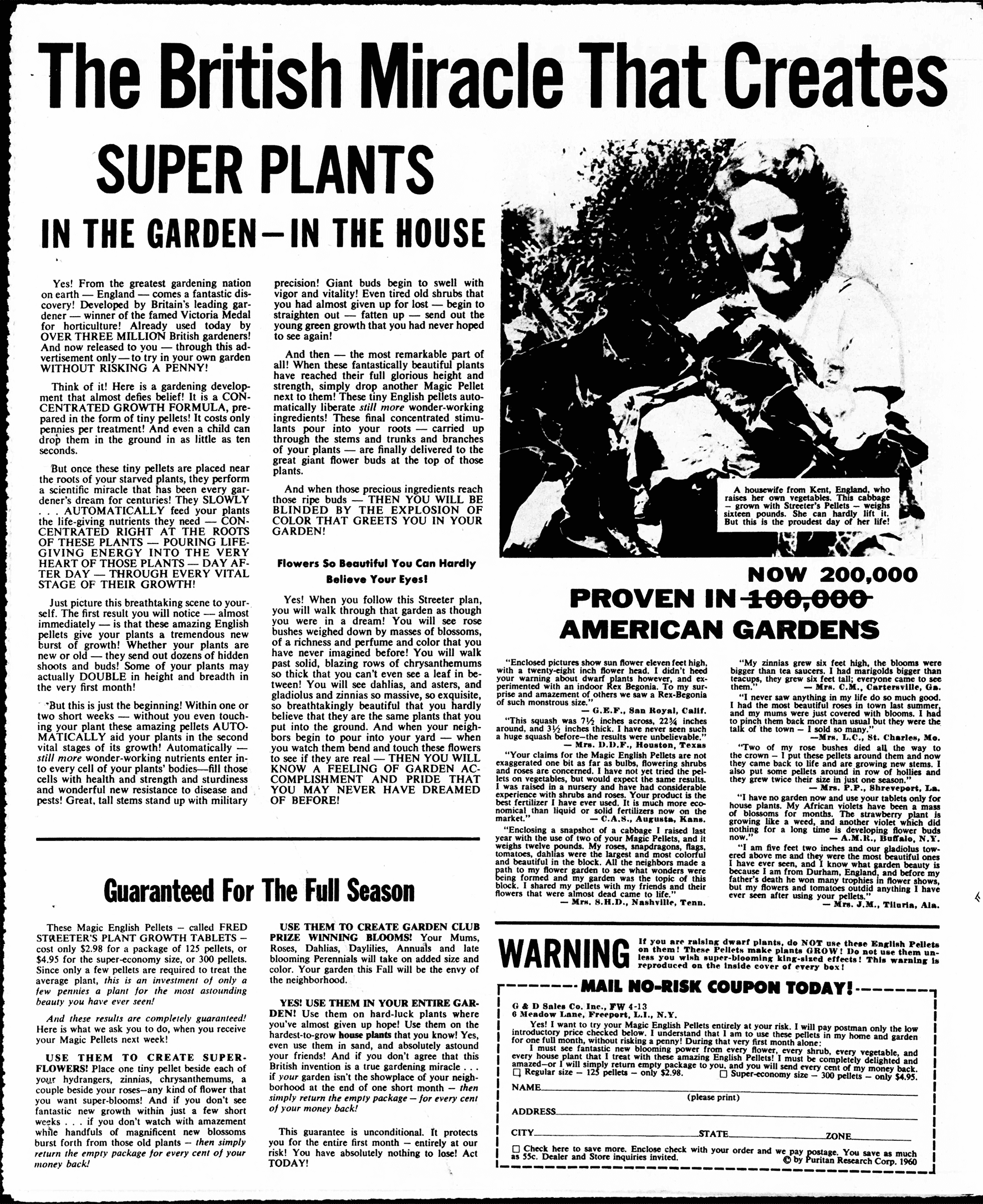 British Miracle Schwartz