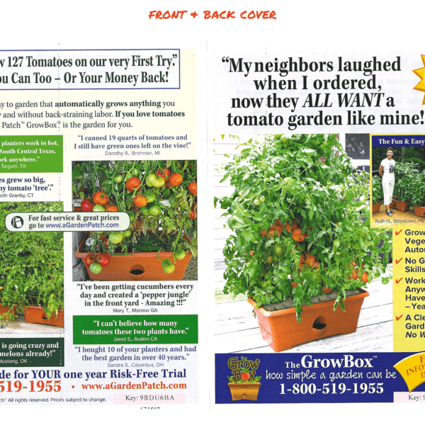 Direct Mail Pinkberry