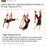 Dollar Offer Lays Chips