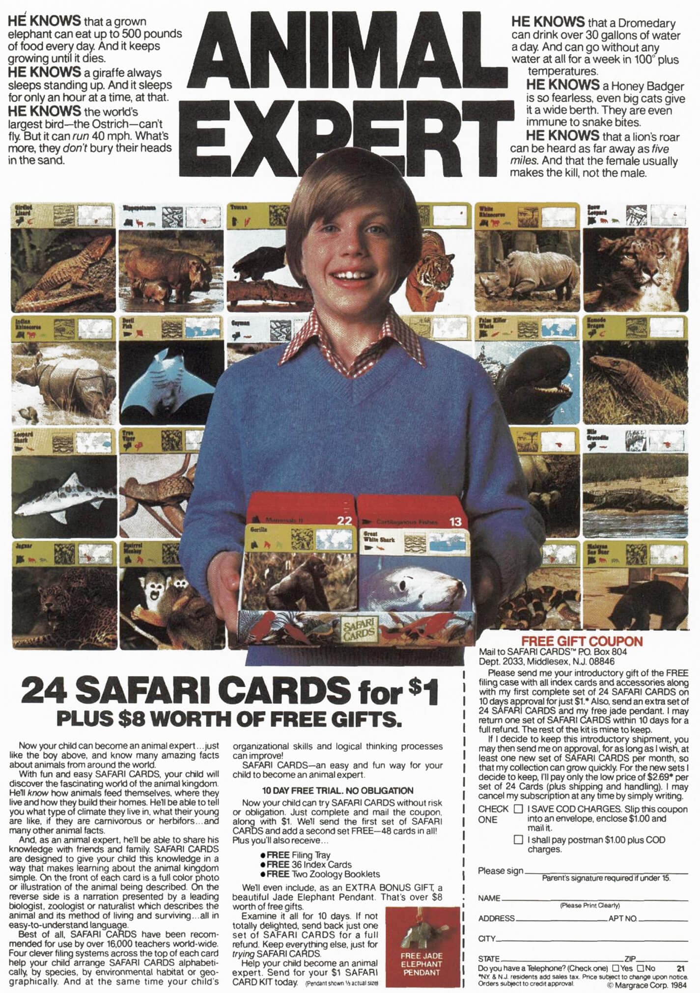 Dollar Trial Safari Cards