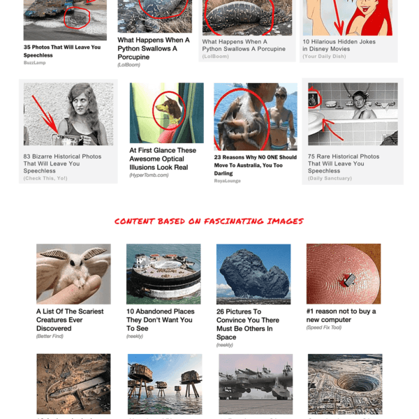 Eat This Never Diet Again Wierd Image Banner Ads