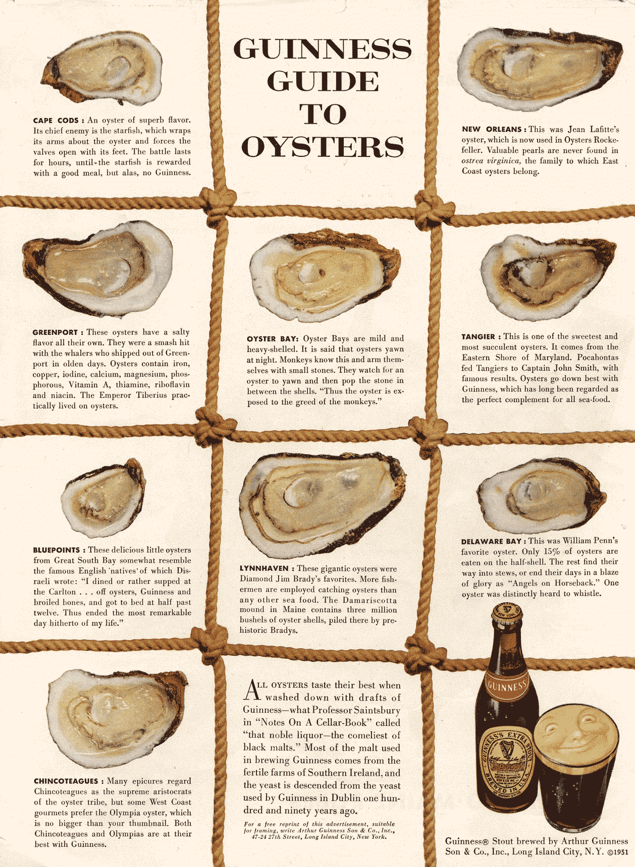 Guinness Guide To Oysters By David Ogilvy