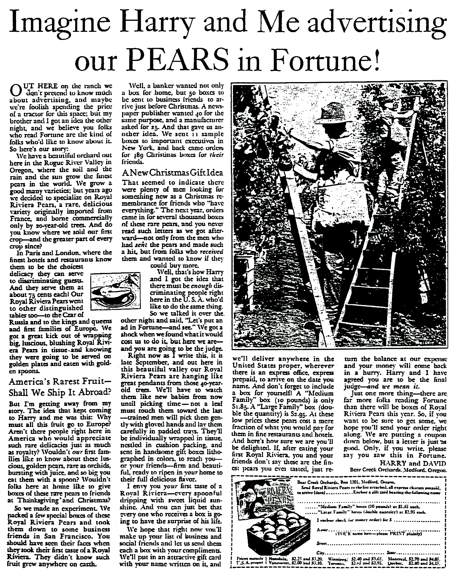 Imagine Harry Me Ad From Harry David