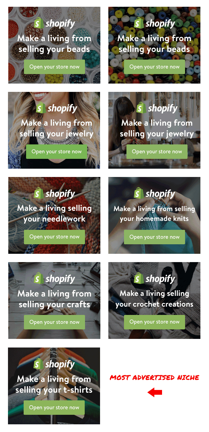 Niche Targeted Ads Shopify