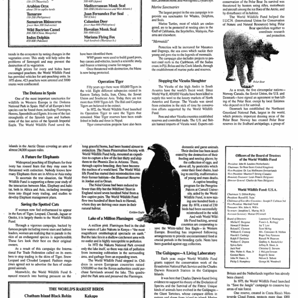 Revolutionary Drain Opener Ogilvy